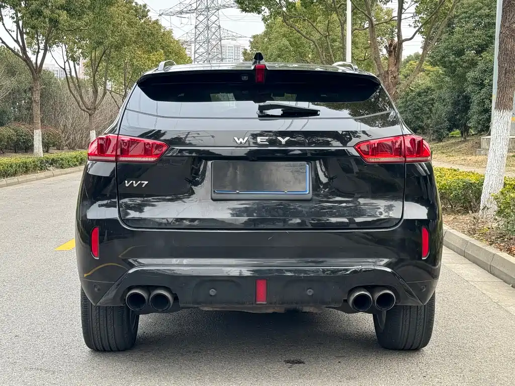 WEI PAI WEI BRAND VV7