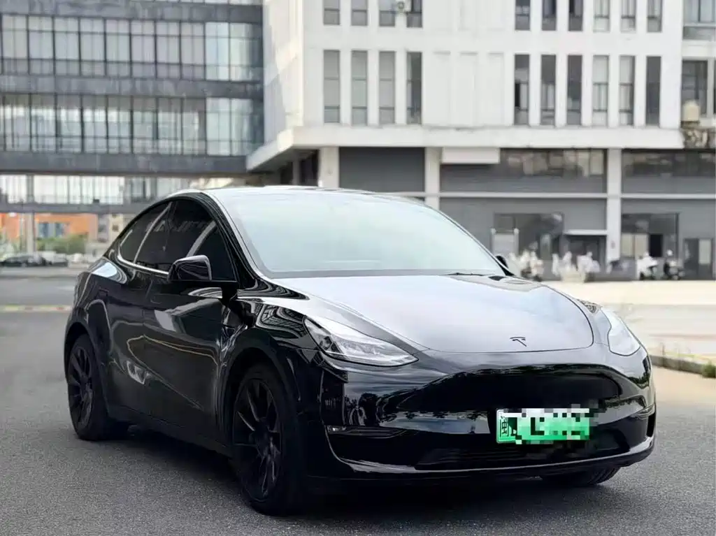 Tesla Model Y — миниатюра 3