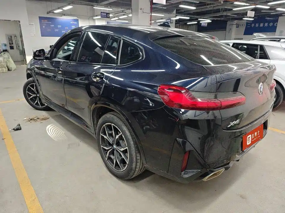 BMW X4 — миниатюра 8