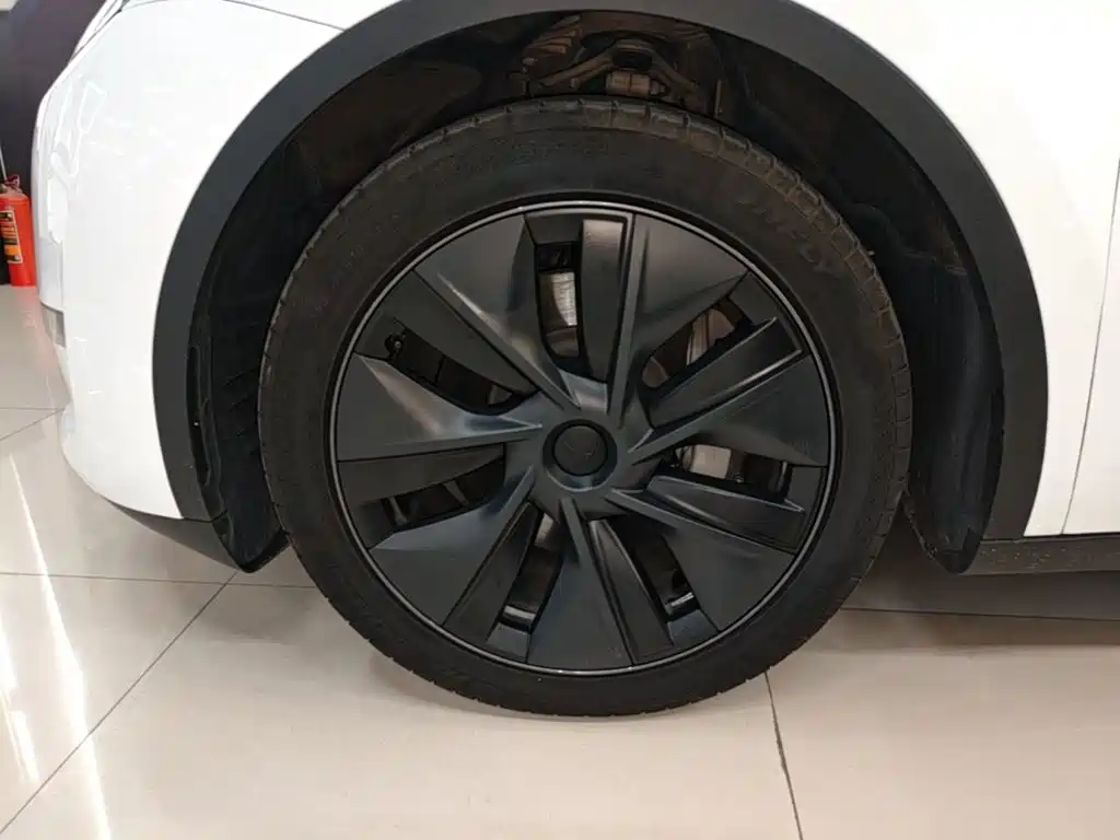 Tesla Model Y — миниатюра 23