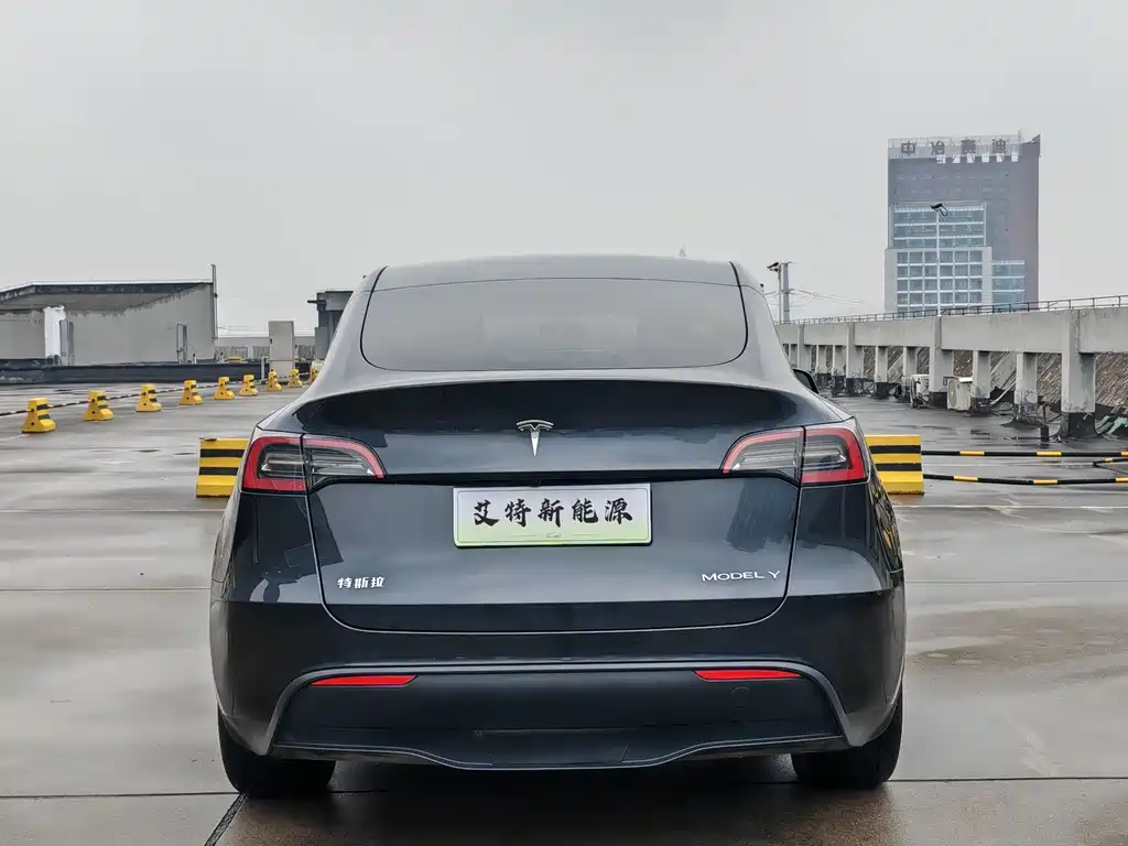 Tesla Model Y — миниатюра 6