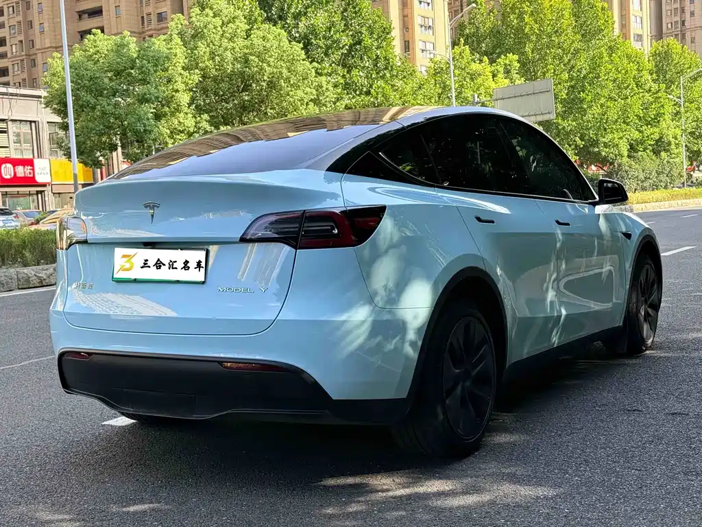 Tesla Model Y — миниатюра 10