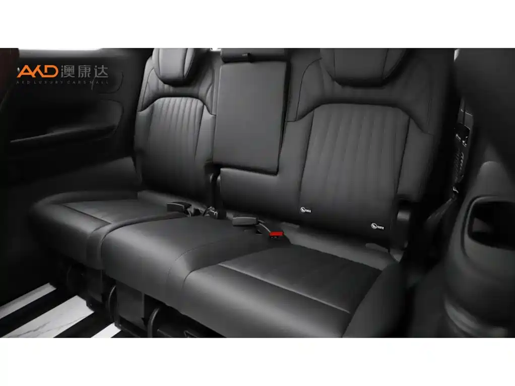 GAC E9 2023 E9 MAX