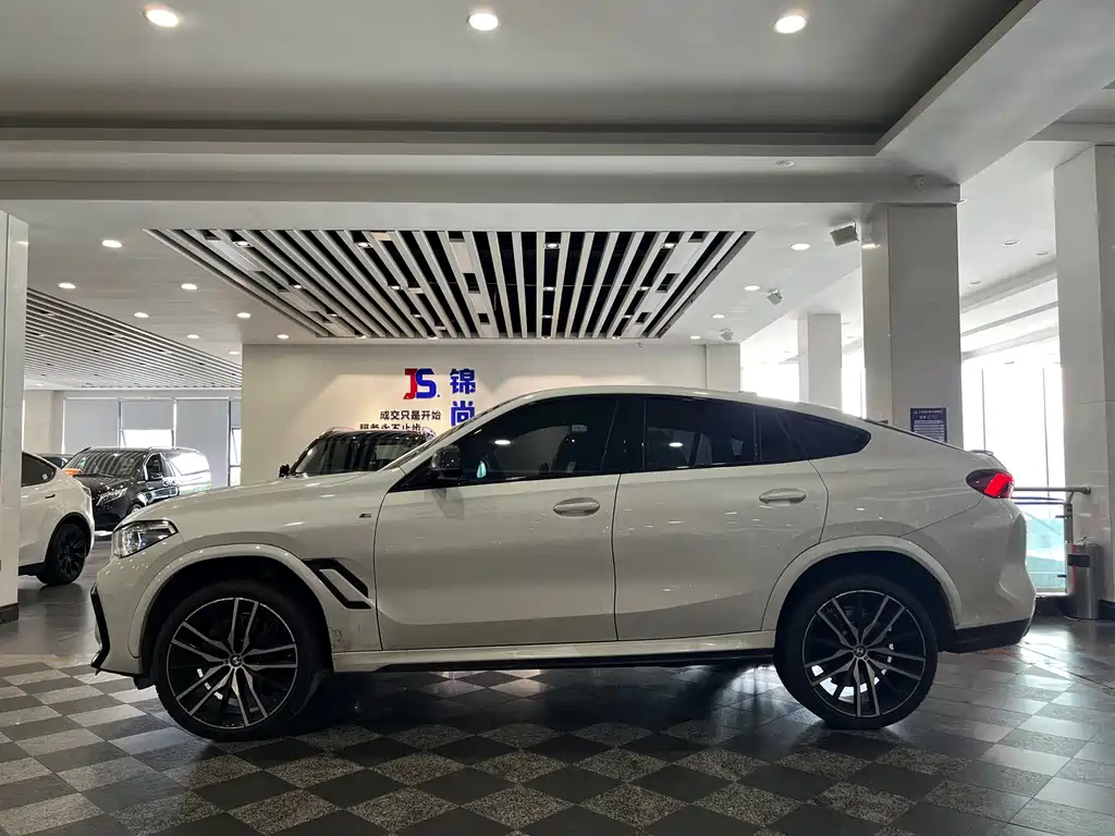 BMW X6 — миниатюра 3