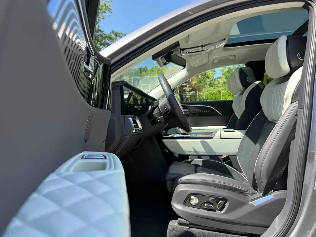 Hongqi E-HS9 2021 460km мест