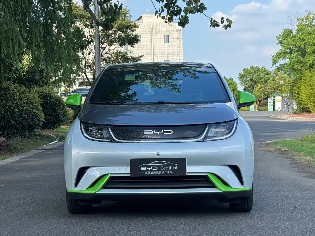 BYD Dolphin — миниатюра 2