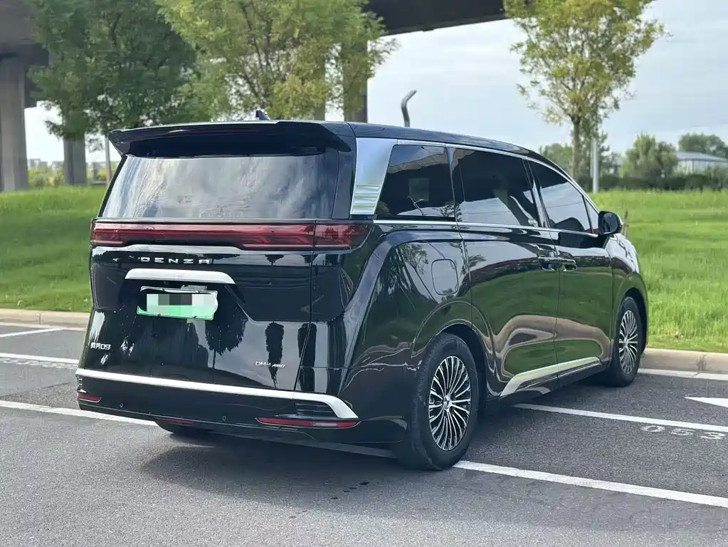 Denza Denza D9 — миниатюра 9