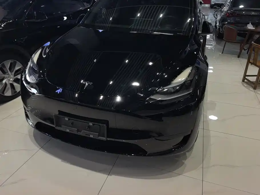 Tesla Model Y — миниатюра 2