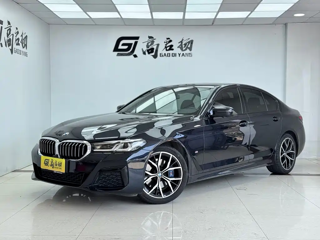 BMW 5 Series (Import) 2021