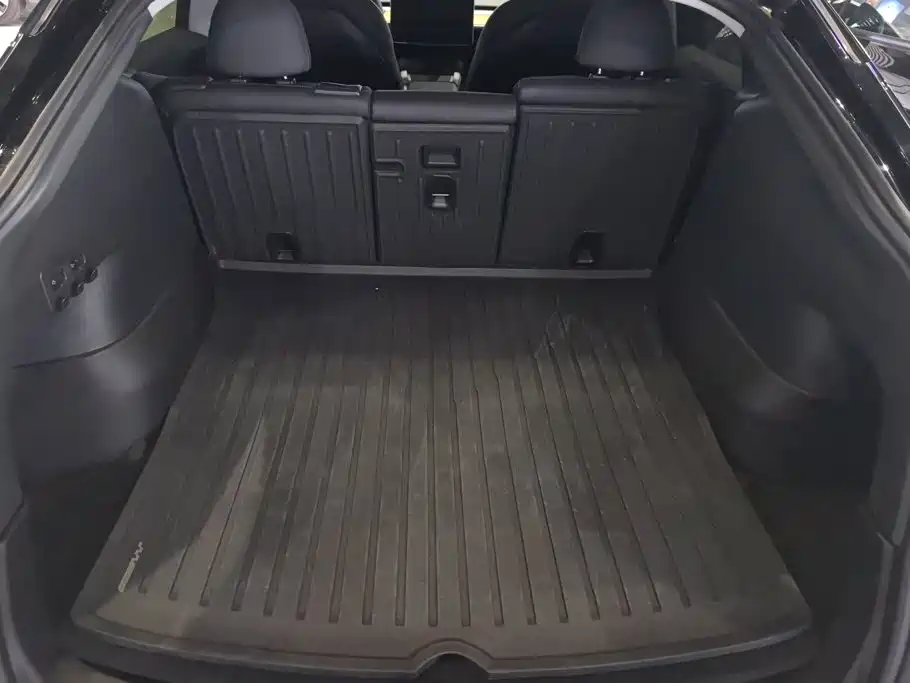 Tesla Model Y — миниатюра 4