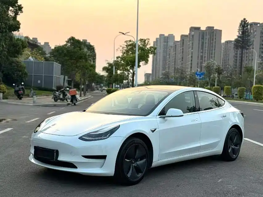 Tesla Model 3 2019