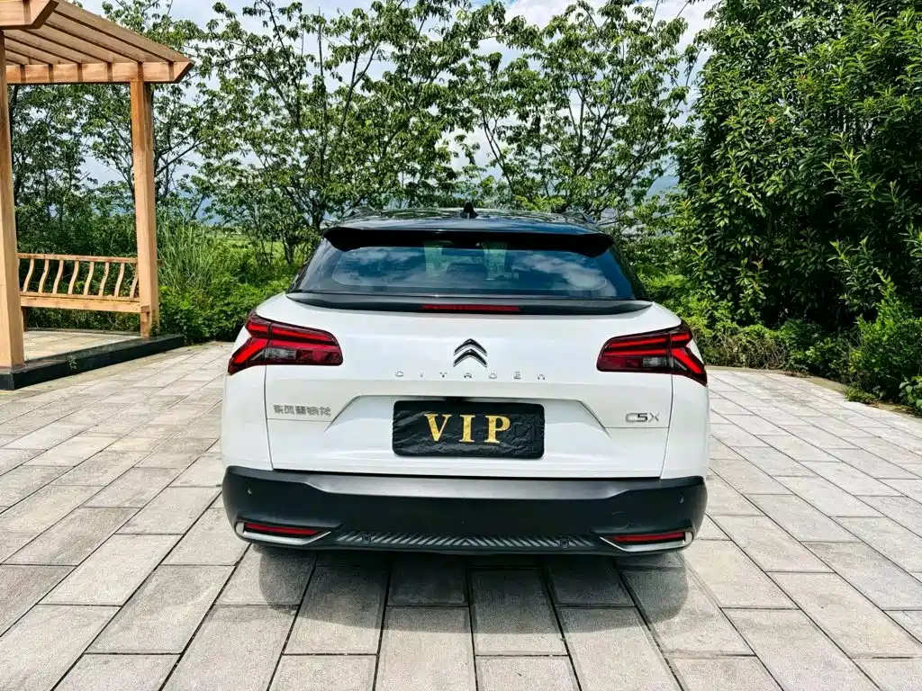 Citroen C5 X — миниатюра 4