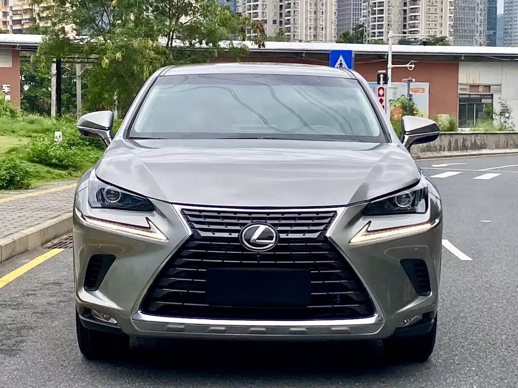 Lexus NX 2020 200 VI