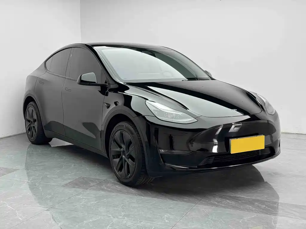 Tesla Model Y — миниатюра 3