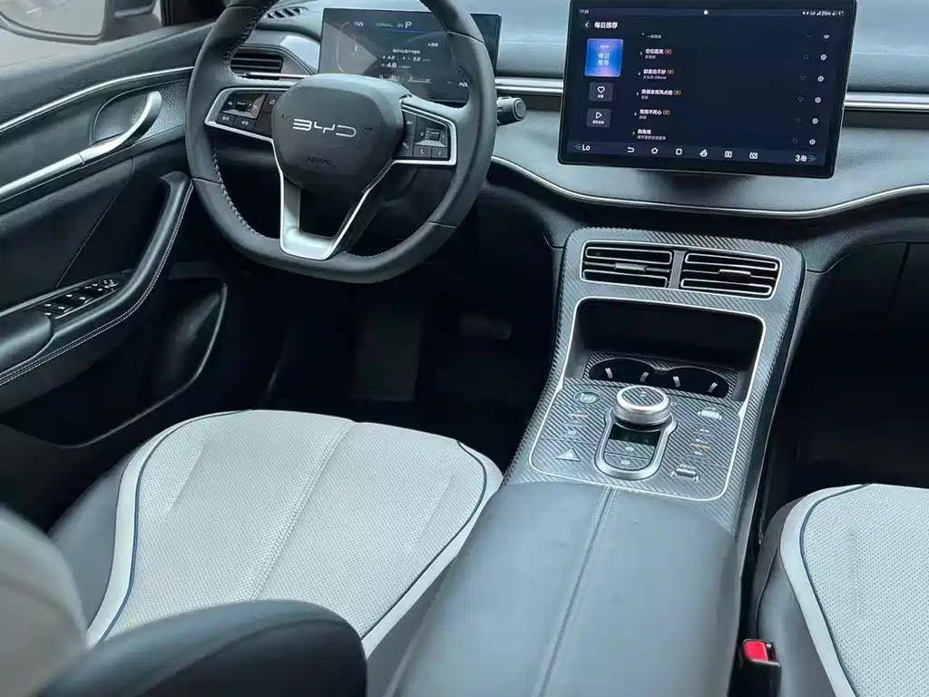 BYD Destroyer 05 2024 DM-i 55KM Luxury