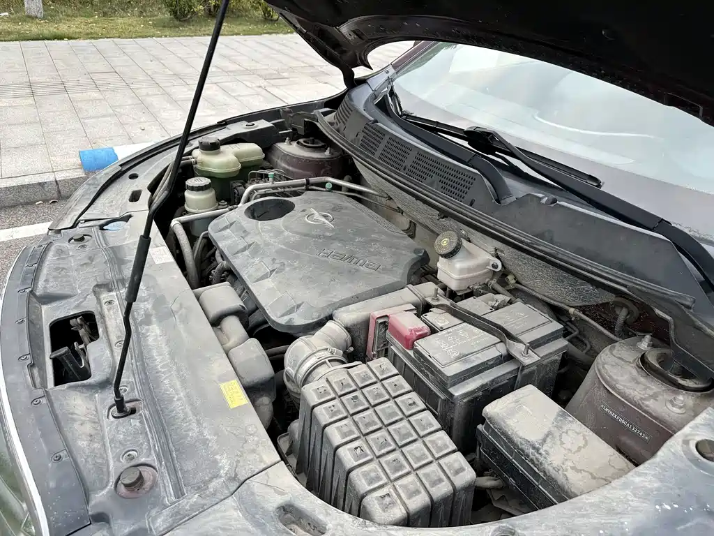 Haima Haima S5 — миниатюра 24