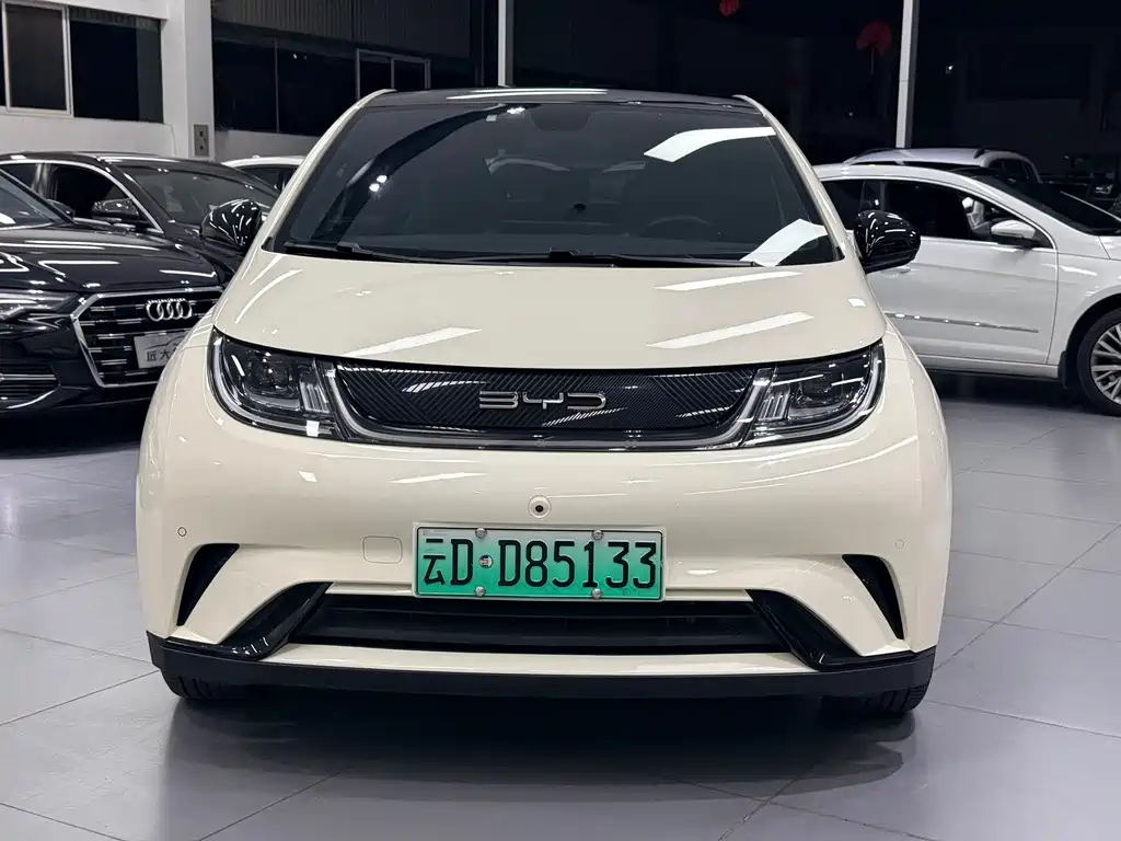 BYD Dolphin