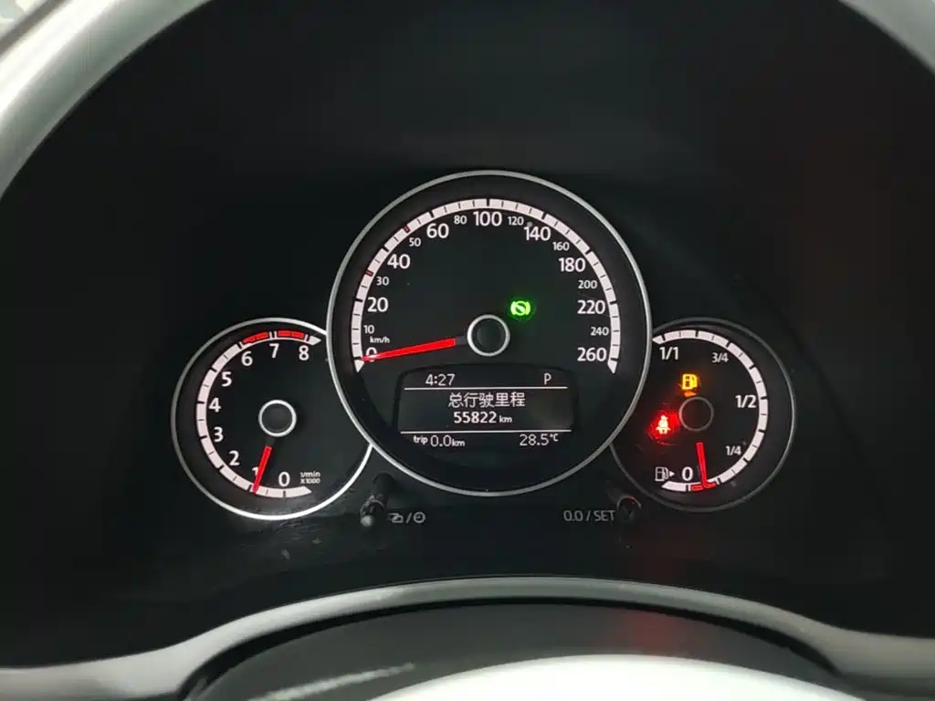 Volkswagen Beetle — миниатюра 12