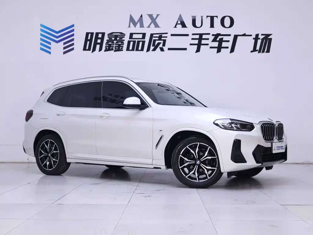 BMW X3 — миниатюра 5