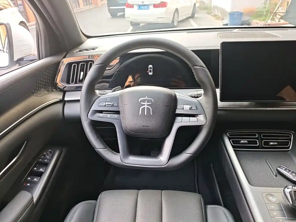 BYD Pro New Energy — миниатюра 11