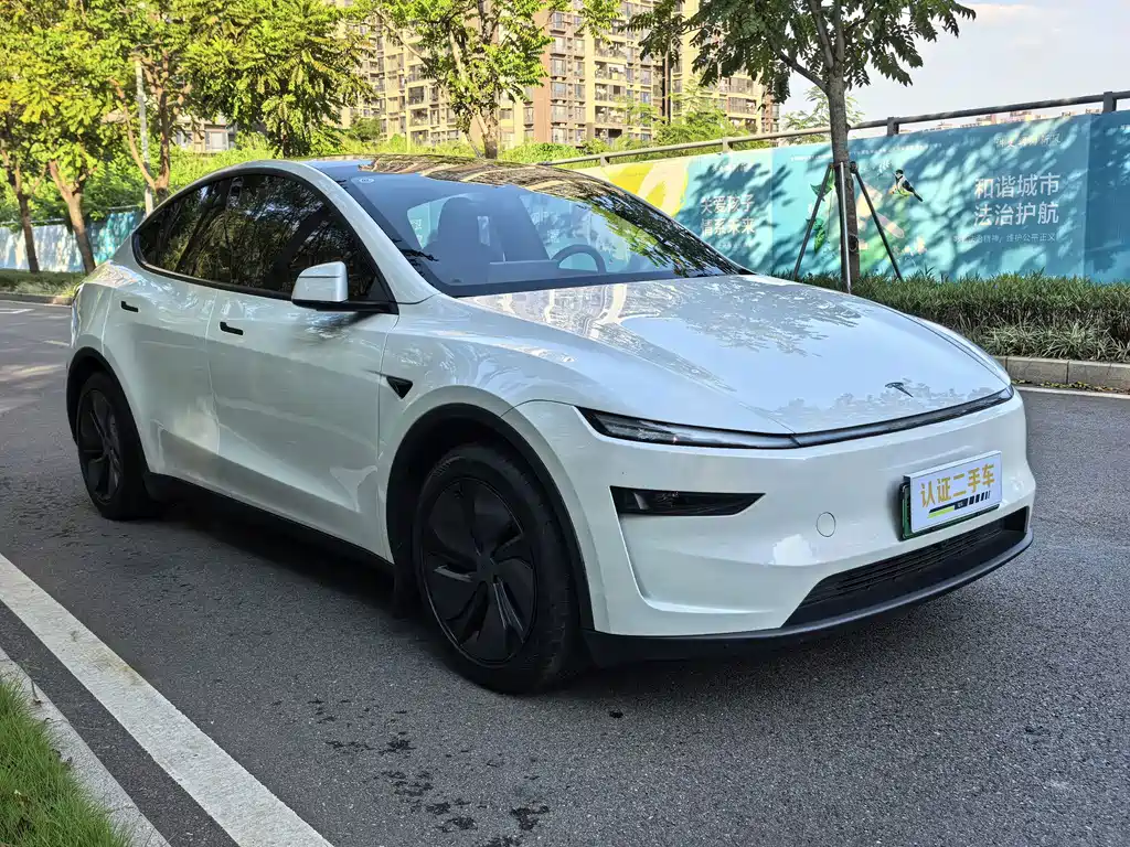 Tesla Model Y — фотографии объявления, Фото 3