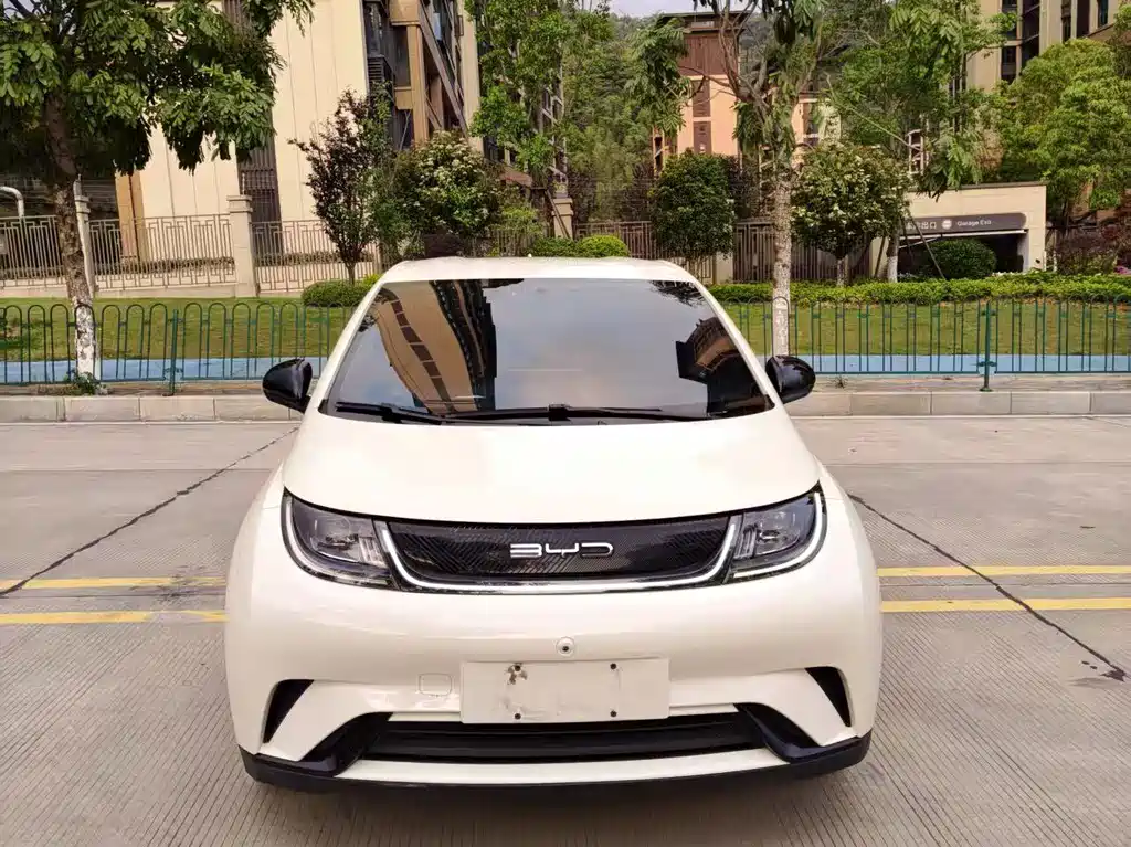 BYD Dolphin - фото 3