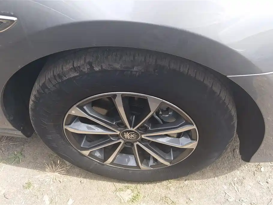 BYD Qin Plus PLUS 2024 DM-i 55KM Lead