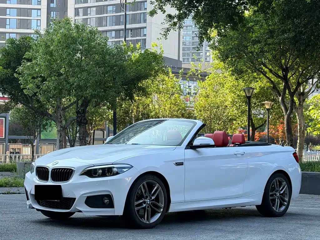 Купить BMW 2 Series (Import)