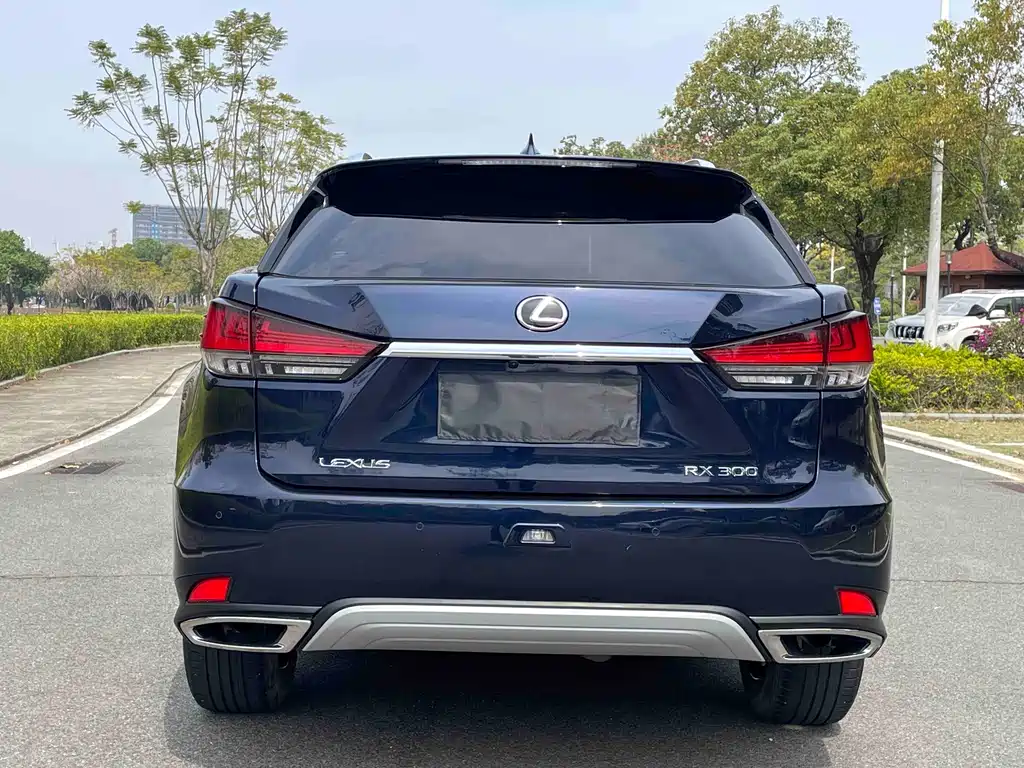 Lexus RX — фотографии объявления, Фото 6