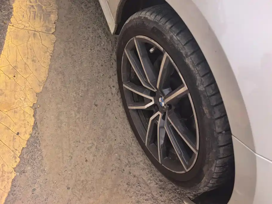 BMW 3 Series 3 2020 320Li M Sport