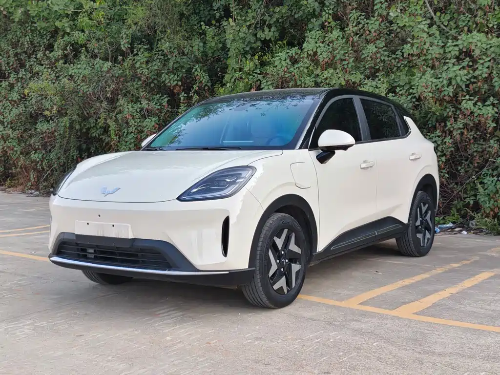 Wuling BinguoS S 2025 325km Flagship
