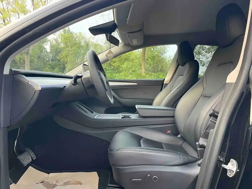 Tesla Model Y — миниатюра 6