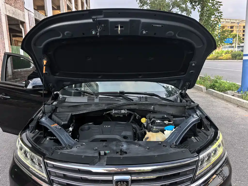 Roewe RX5 — миниатюра 21