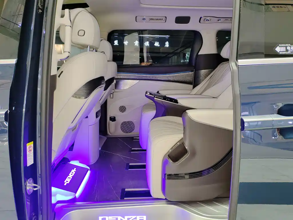 Denza Denza D9 — миниатюра 12