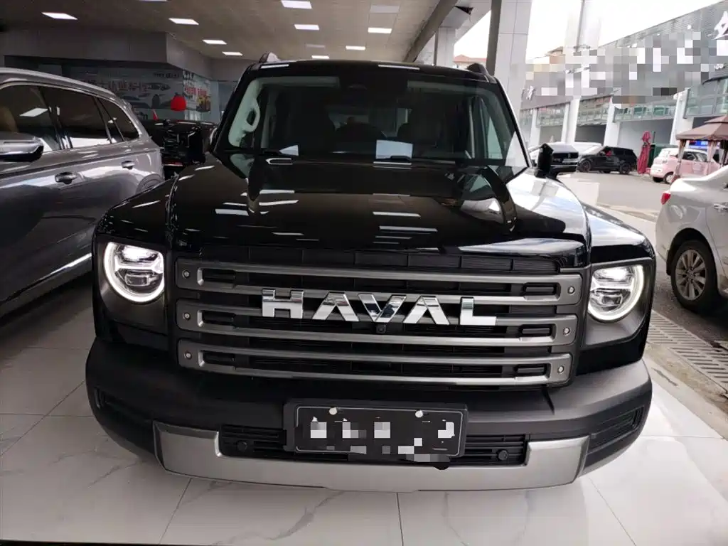 HAVAL  RAPTORS NEW ENERGY