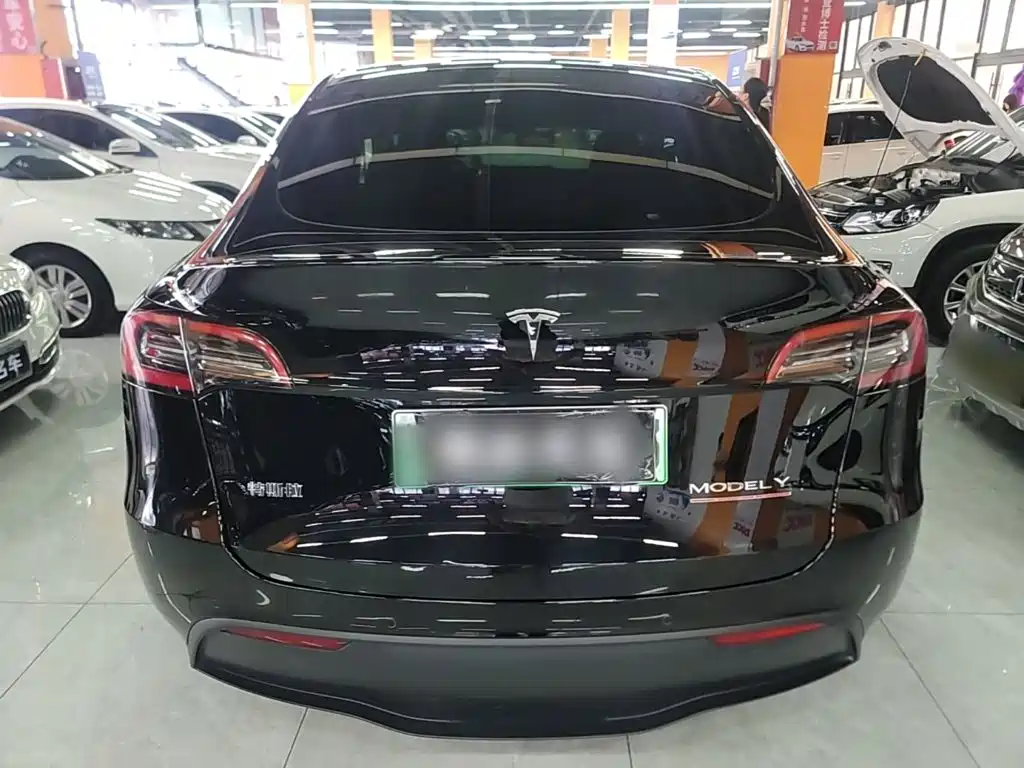 Tesla Model Y — миниатюра 6