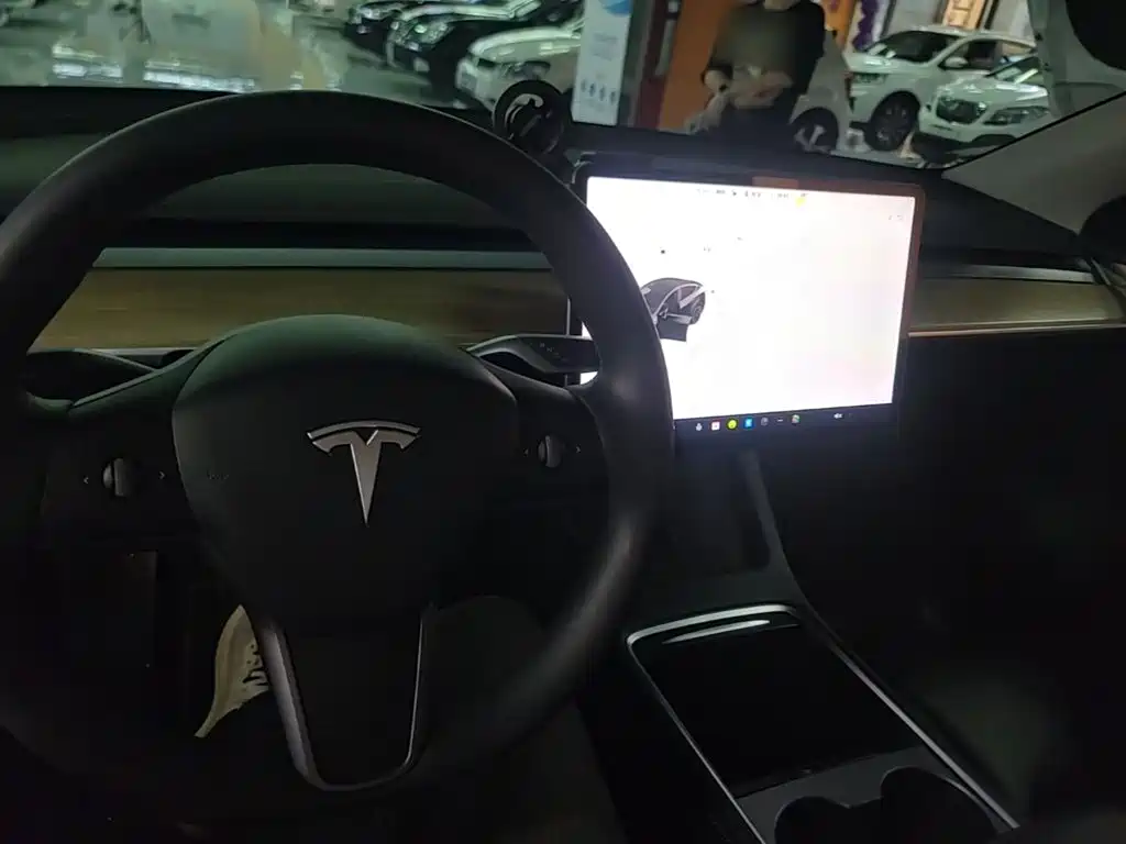 Tesla Model Y — миниатюра 10