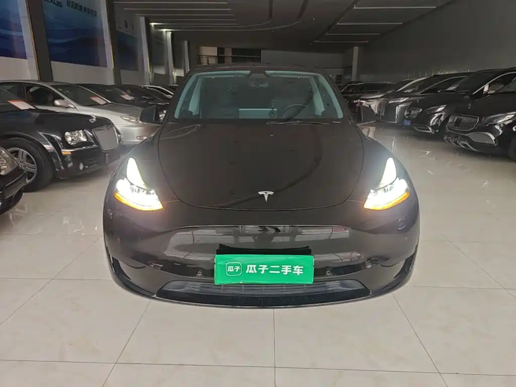 Tesla Model Y — миниатюра 3
