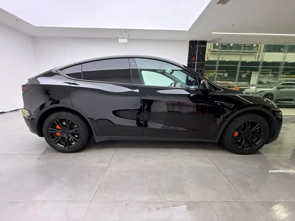 Tesla Model Y — миниатюра 5