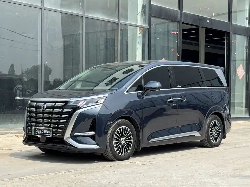 Denza Denza D9