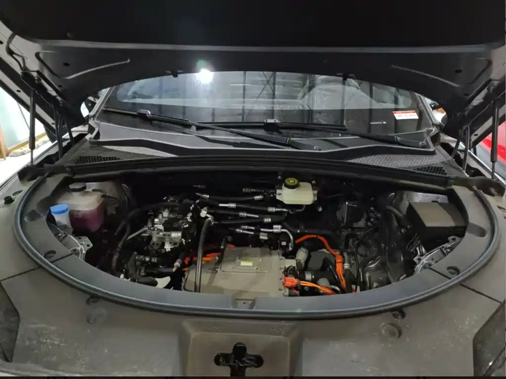 BYD SONGJIANG NEW ENERGY