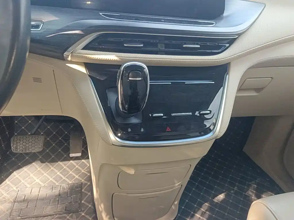 Buick GL8 — миниатюра 14