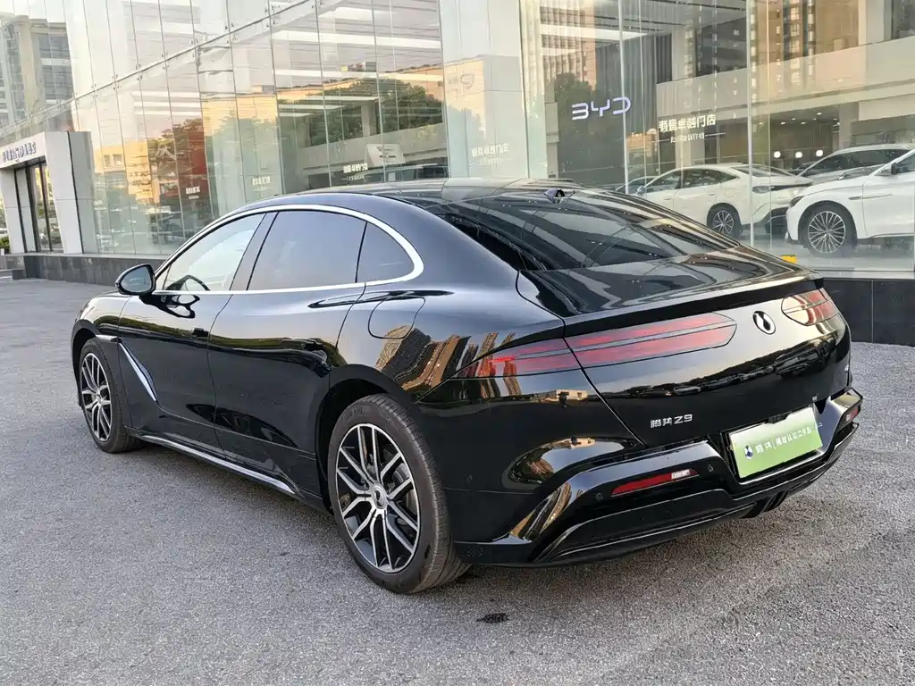 Denza Denza Z9 — миниатюра 8
