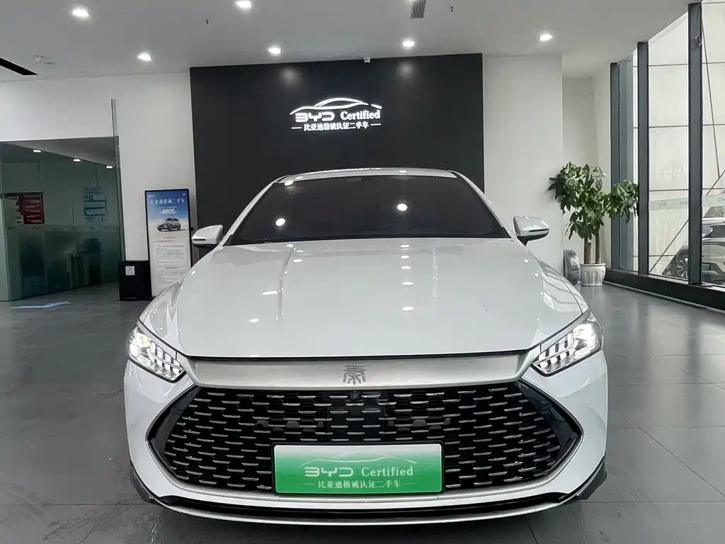BYD Qin PLUS — миниатюра 2