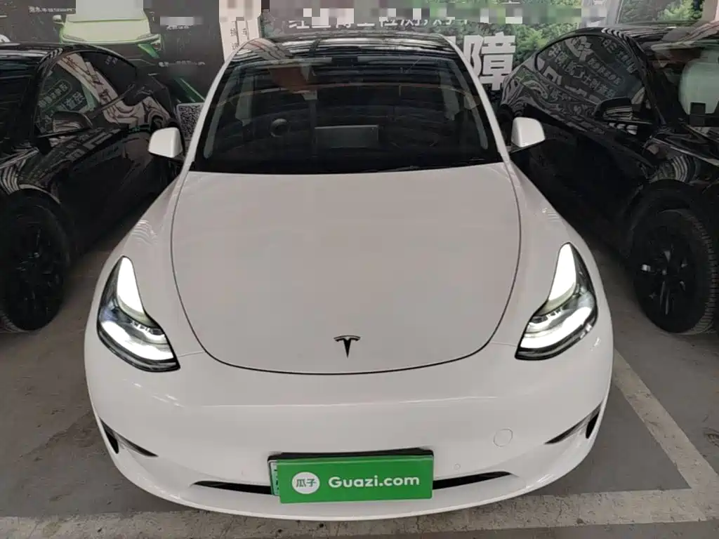 Tesla Model Y 2021 3D7