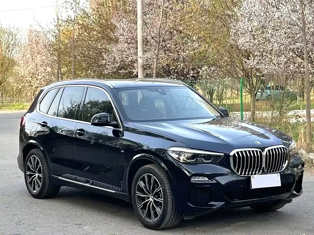 BMW X5 (Import) — миниатюра 3