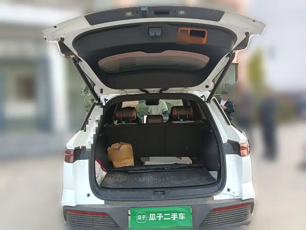 BYD Pro New Energy — миниатюра 15
