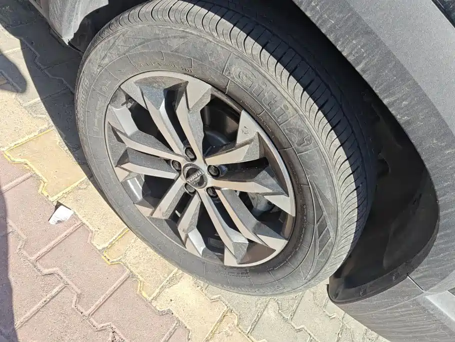 Haval Big Dog — миниатюра 6
