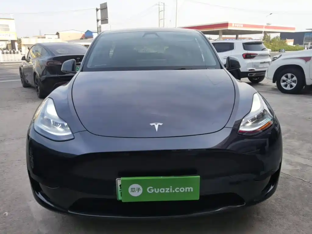 Tesla Model Y — миниатюра 3