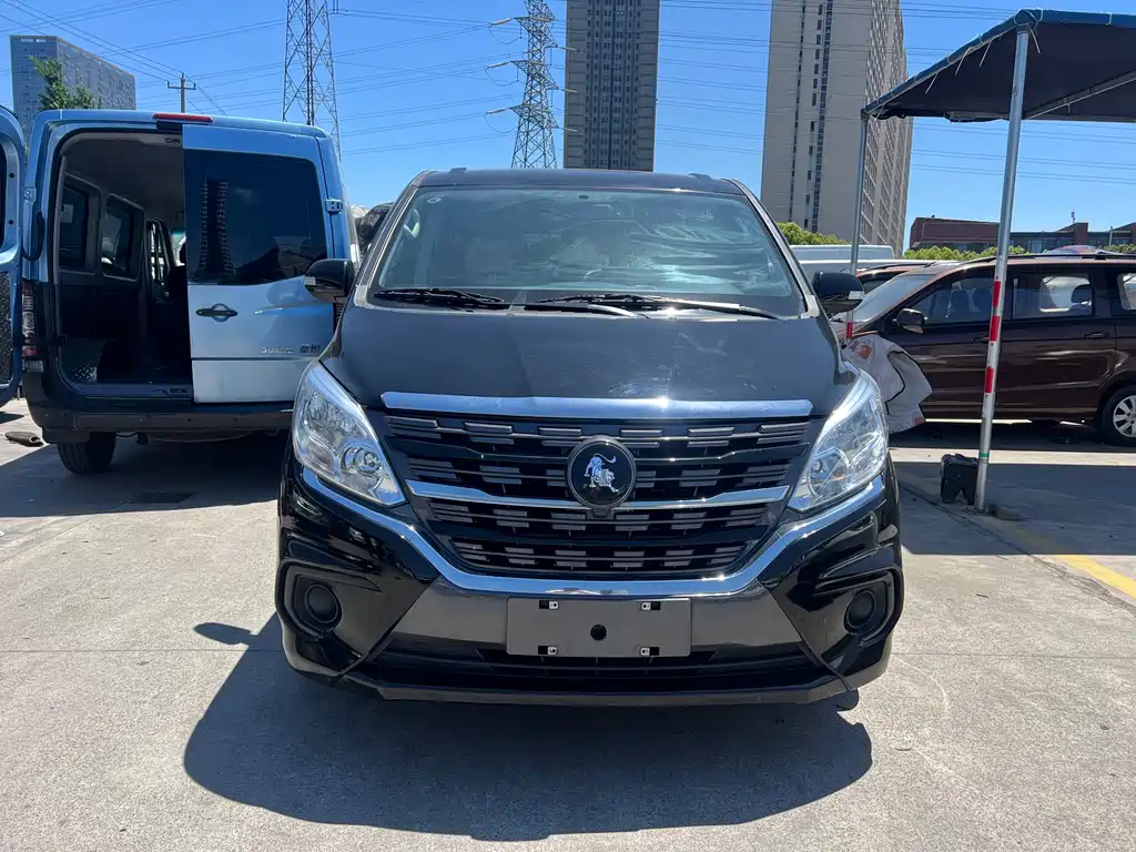 Fengxing Lingzhi PLUS 2024